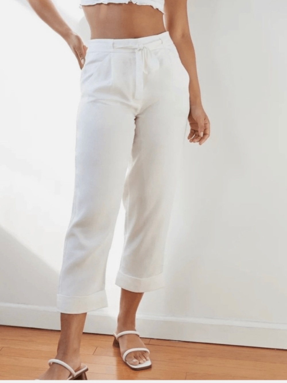 ARITZIA Wilfred Allant Pant